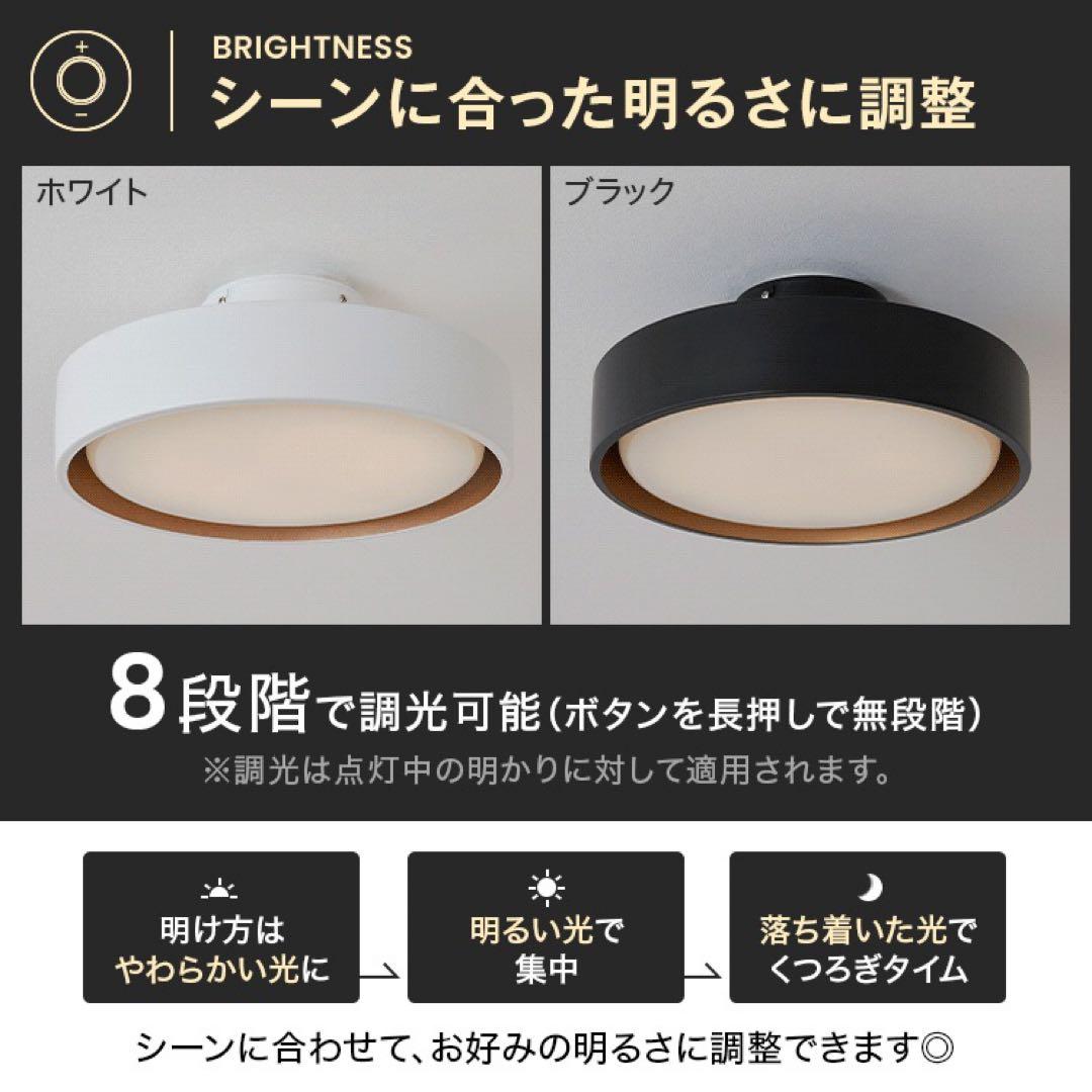 円形ブラックシーリングライト