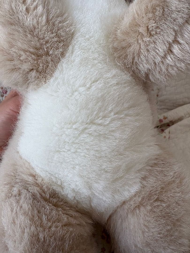 うめ吉　ベージュ　ぬいぐるみ