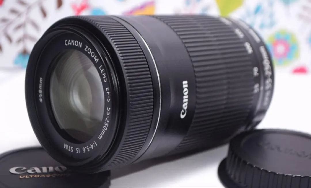 美品❤️超静音レンズ❤️Canon EF-S 55-250mm IS STM