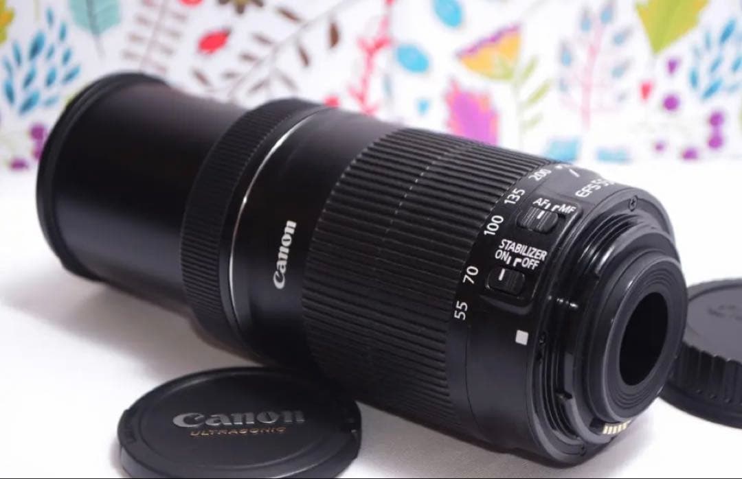 美品❤️超静音レンズ❤️Canon EF-S 55-250mm IS STM