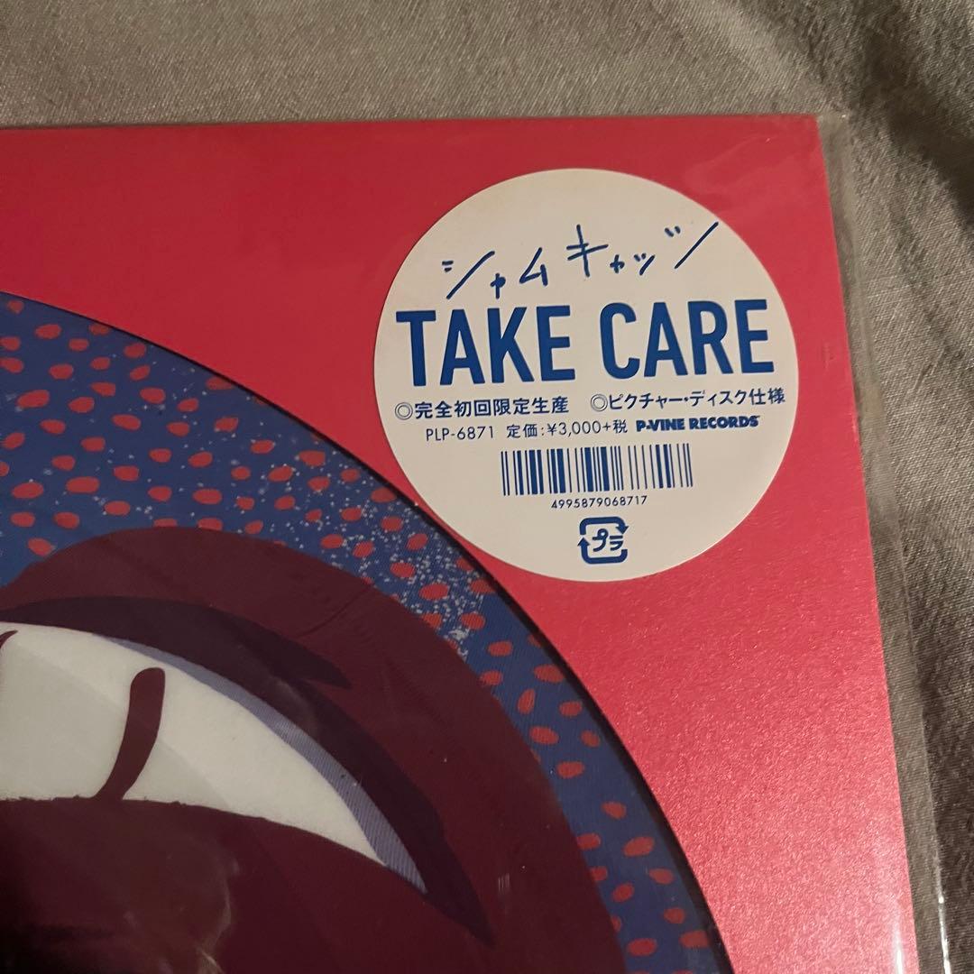 シャムキャッツ TAKE CARE レコード　LP ピクチャーヴァイナル
