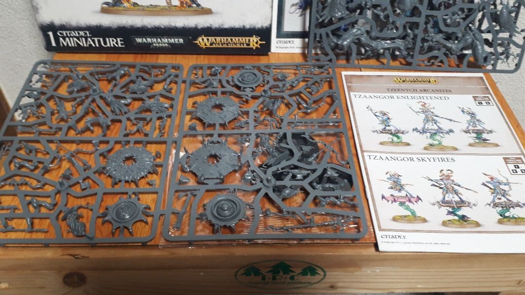 warhammer Disciples of Tzeentch ジャンクセット