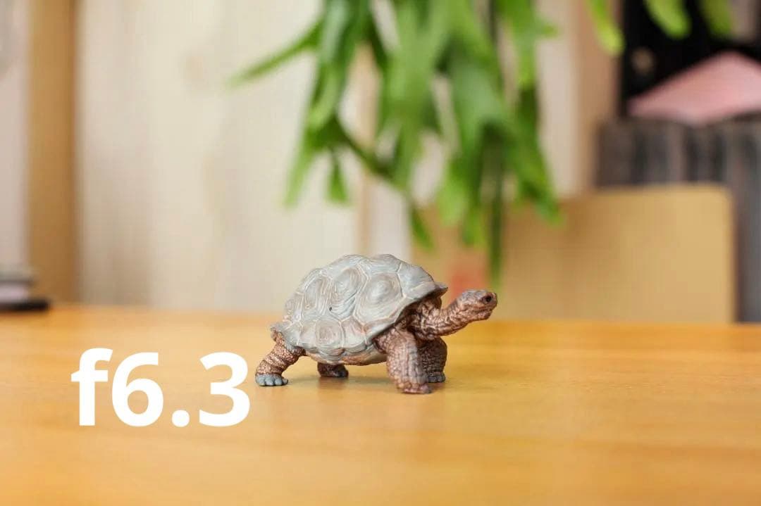 CANON EF 50mm f/1.2L USM 単焦点レンズ