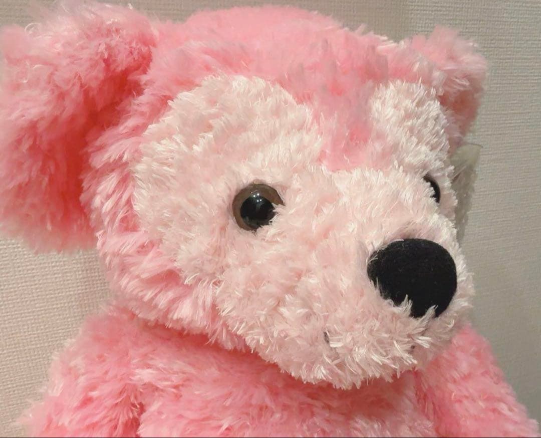 WDW ダッフィー ディズニーベア カラーダッフィー ピンク