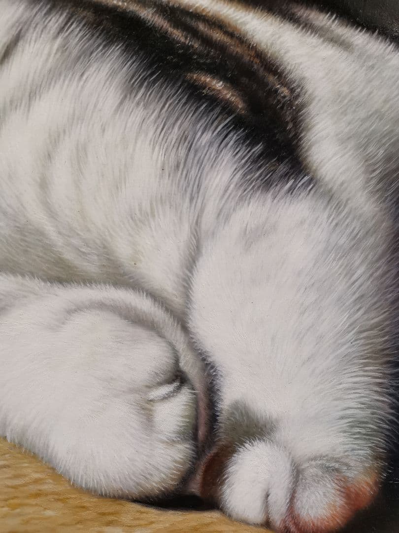 100%手描き 猫の絵画 リアル 写実画 額縁入り インテリア 癒し【送料無料】