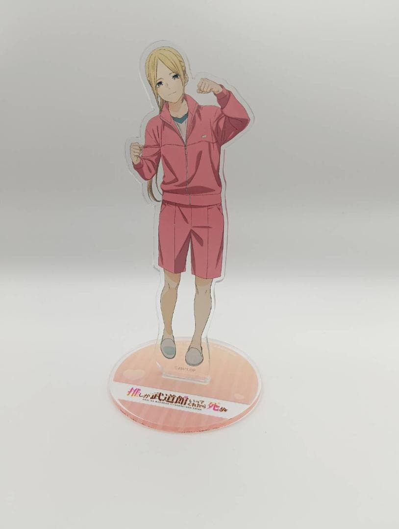 推しが武道館いってくれたら死ぬ　ChamJam＆えりぴよ8体　アクリルスタンド