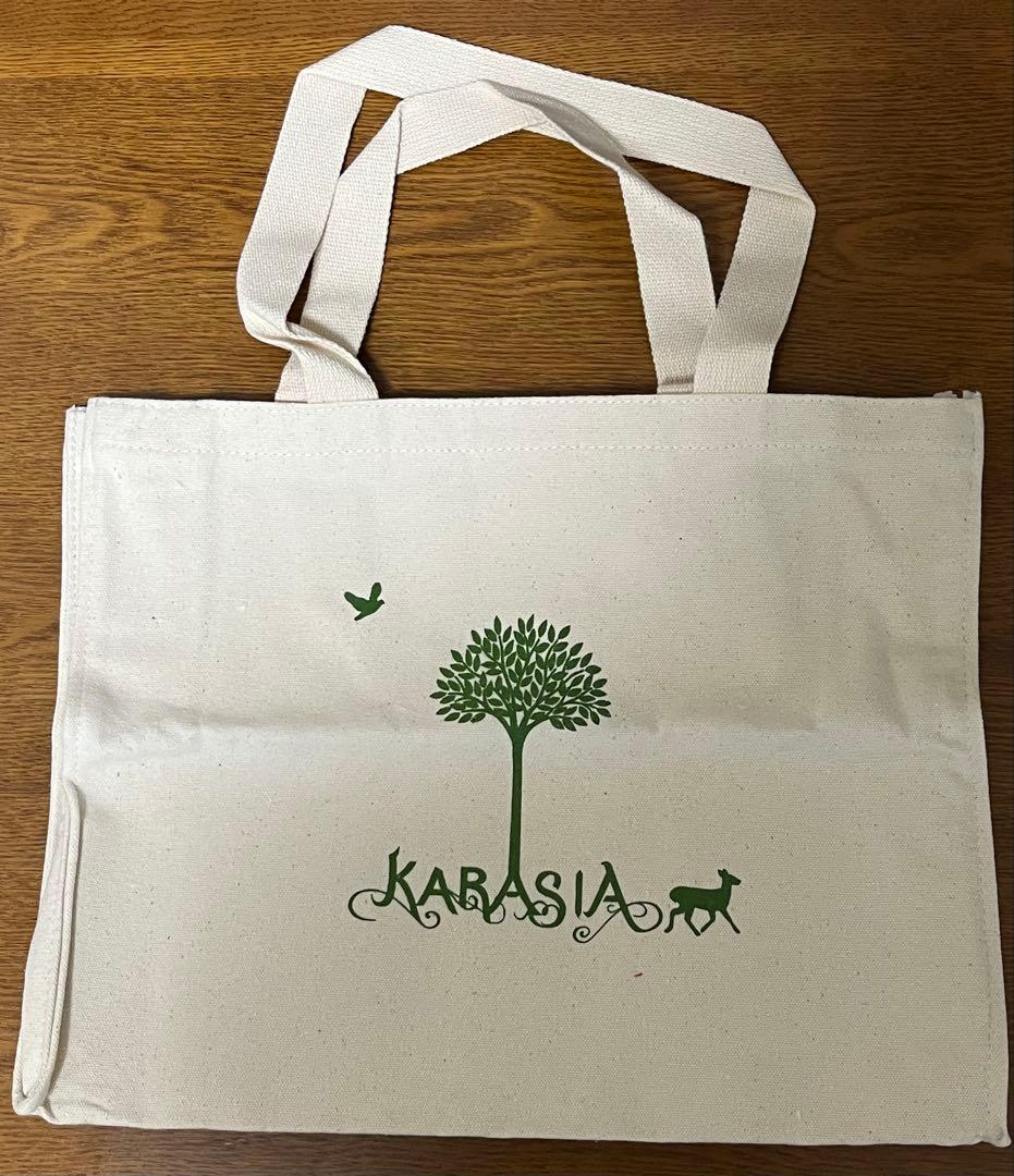 【未開封】KARA グッズ 6点セット KARASIA ライブタオル