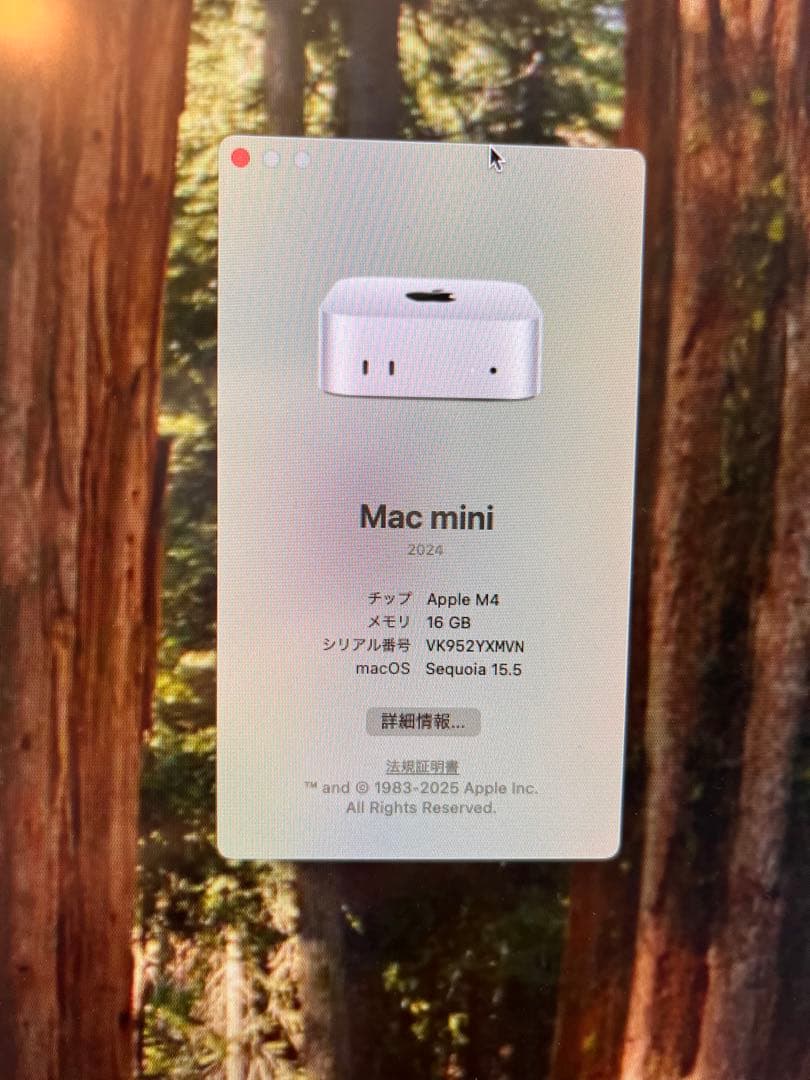Apple 新型 Mac mini MU9D3J/A