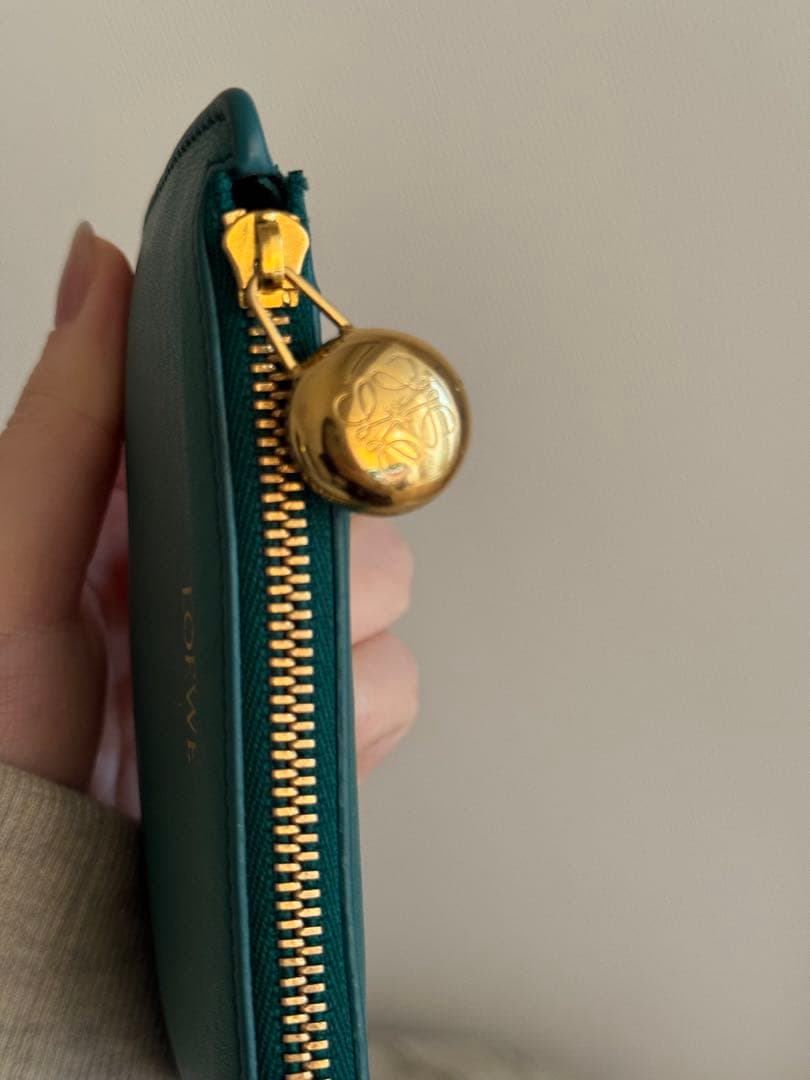 LOEWE グリーン レザー ケース