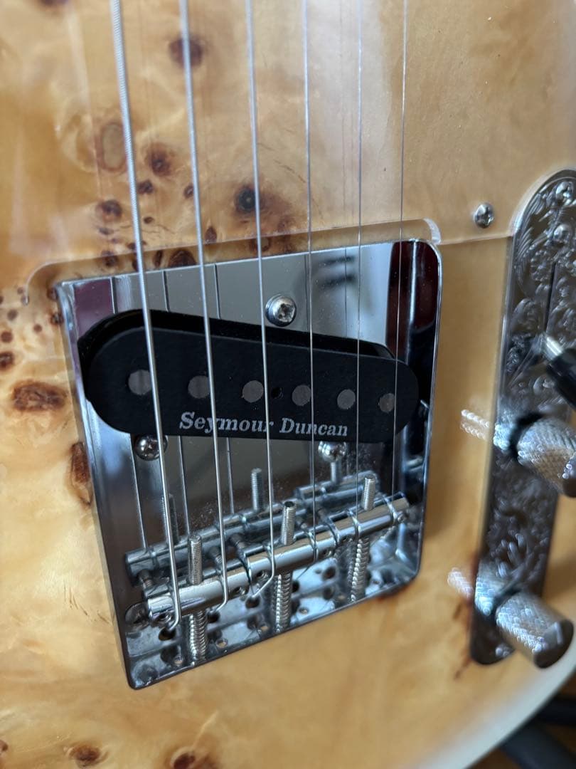 ☆本日限定価格☆ バッカス　テレキャスタータイプ ＊ジャンク＊