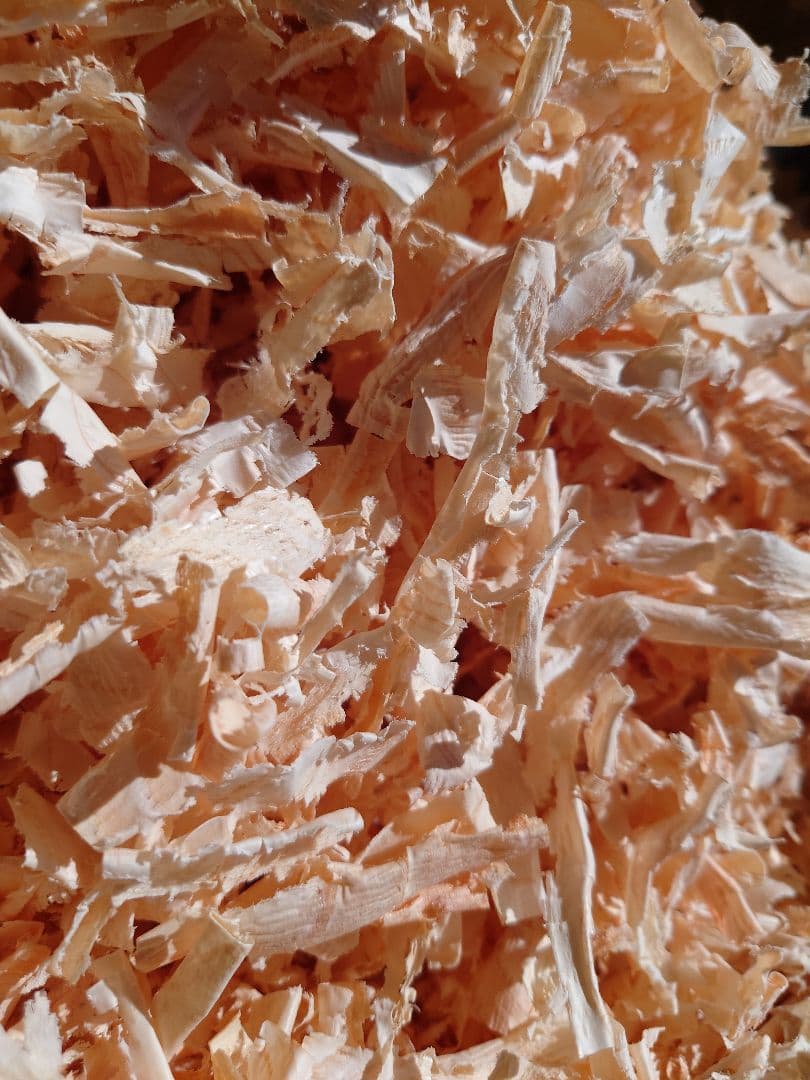 ひのき、すぎ、かんなくず (オガクズ) (購入、専用)