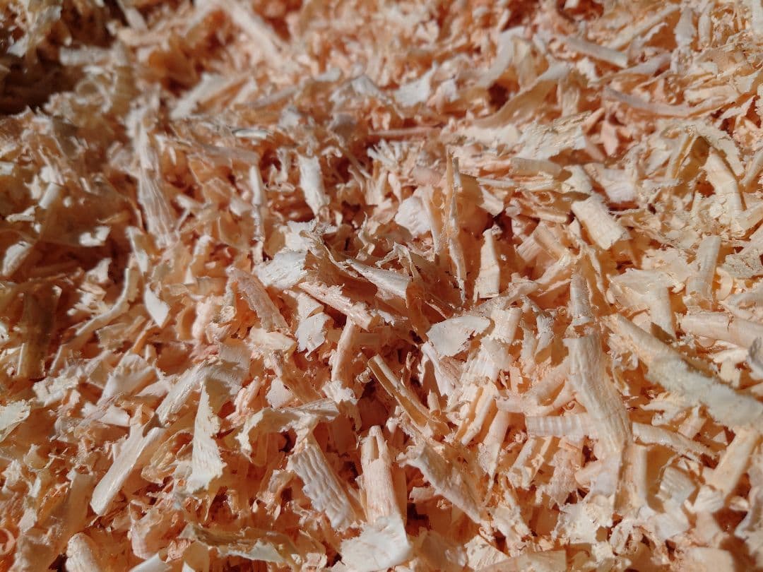 ひのき、すぎ、かんなくず (オガクズ) (購入、専用)