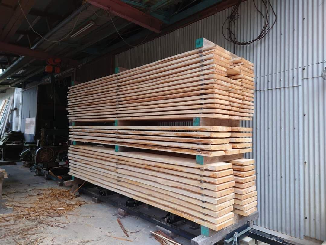 ひのき、すぎ、かんなくず (オガクズ) (購入、専用)