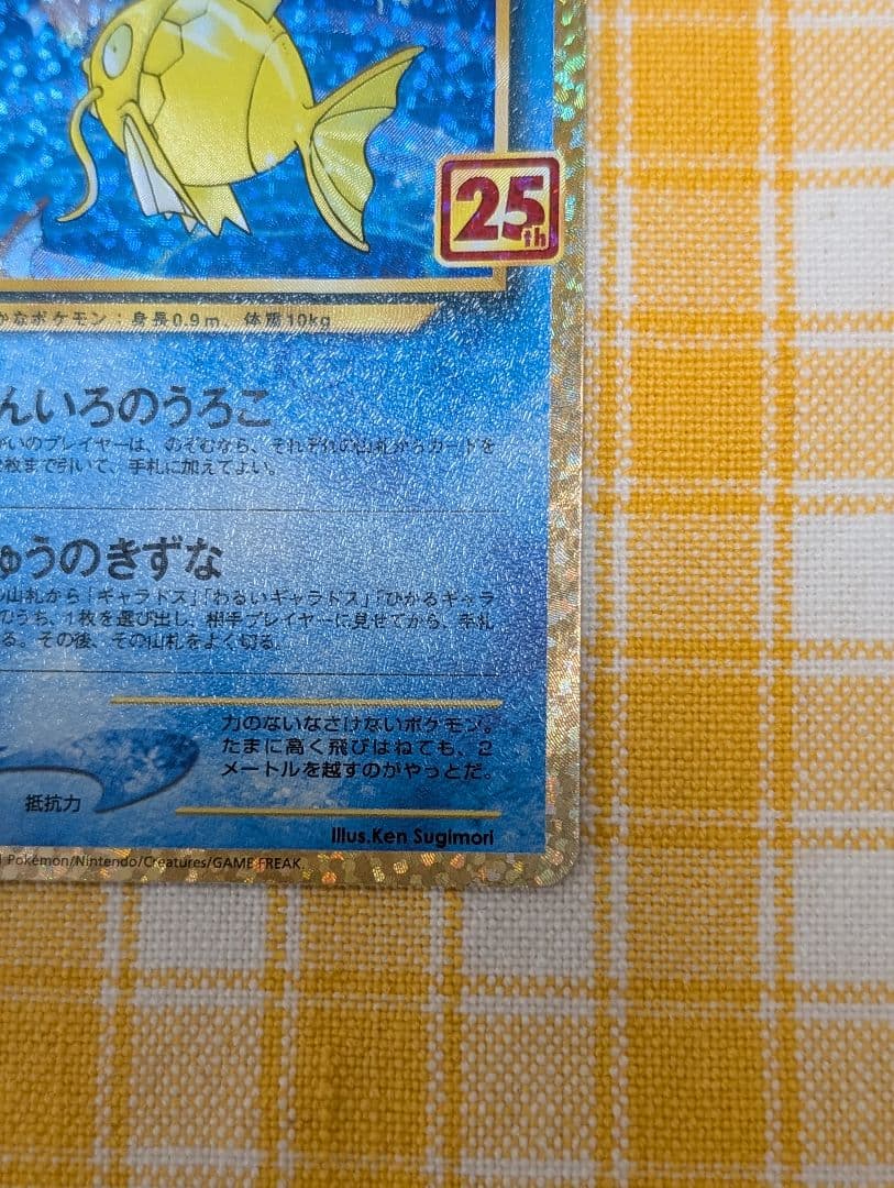 ひかるコイキング　25th