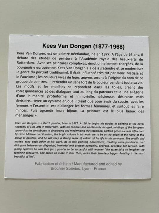 新品 キースヴァンドンゲン Kess Van Dongen スカーフ額装品