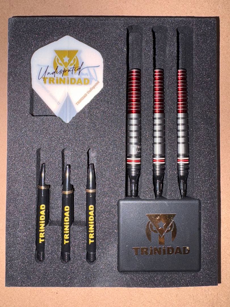 TRINIDAD GOMEZ TYPE 15 ダーツセット