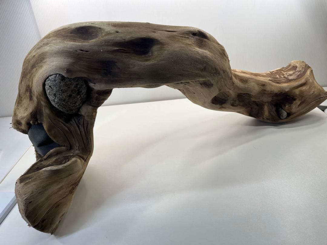 m24特大流木 アク抜き済み 爬虫類シェルター 登り木 レイアウト用 インテリア