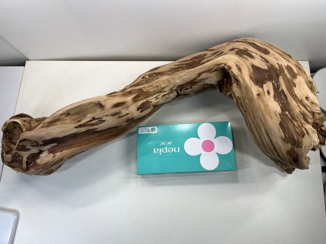 m24特大流木 アク抜き済み 爬虫類シェルター 登り木 レイアウト用 インテリア