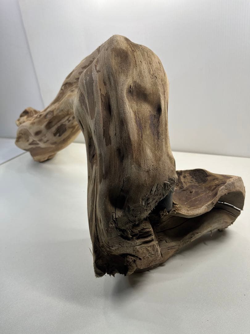 m24特大流木 アク抜き済み 爬虫類シェルター 登り木 レイアウト用 インテリア