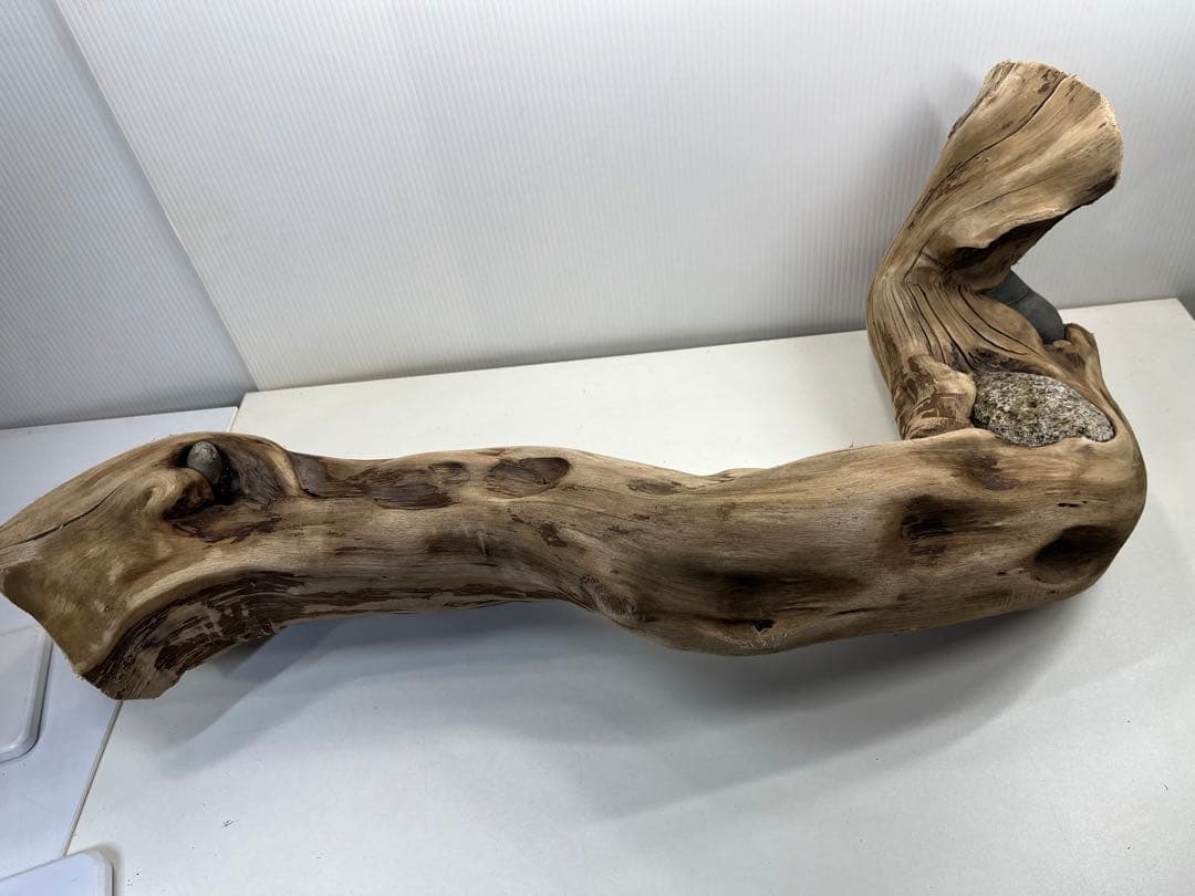 m24特大流木 アク抜き済み 爬虫類シェルター 登り木 レイアウト用 インテリア