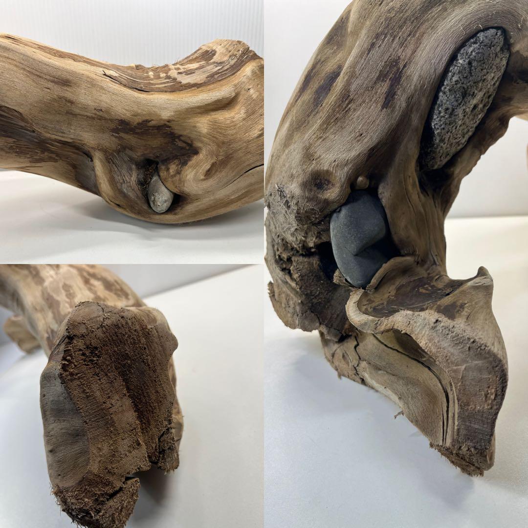 m24特大流木 アク抜き済み 爬虫類シェルター 登り木 レイアウト用 インテリア