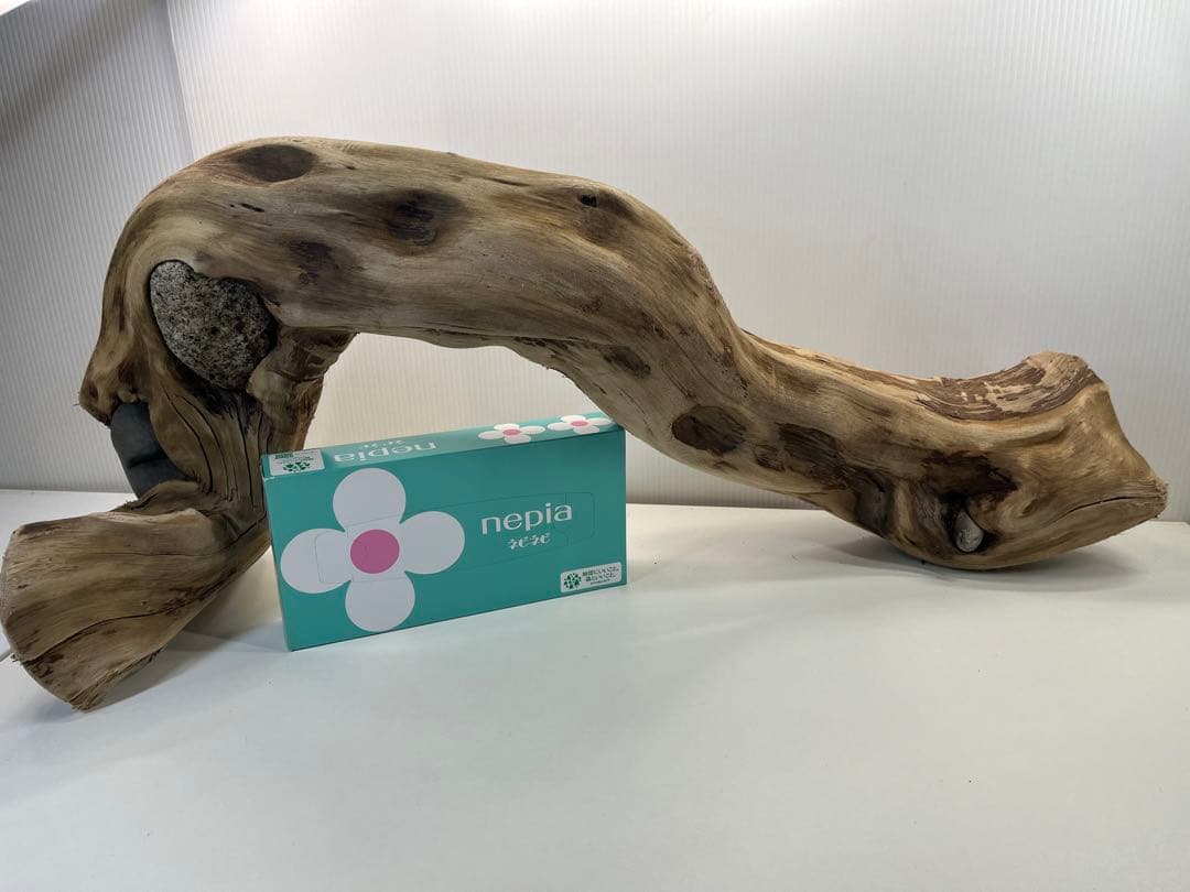 m24特大流木 アク抜き済み 爬虫類シェルター 登り木 レイアウト用 インテリア