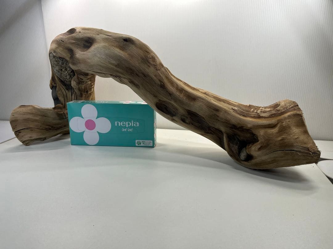 m24特大流木 アク抜き済み 爬虫類シェルター 登り木 レイアウト用 インテリア