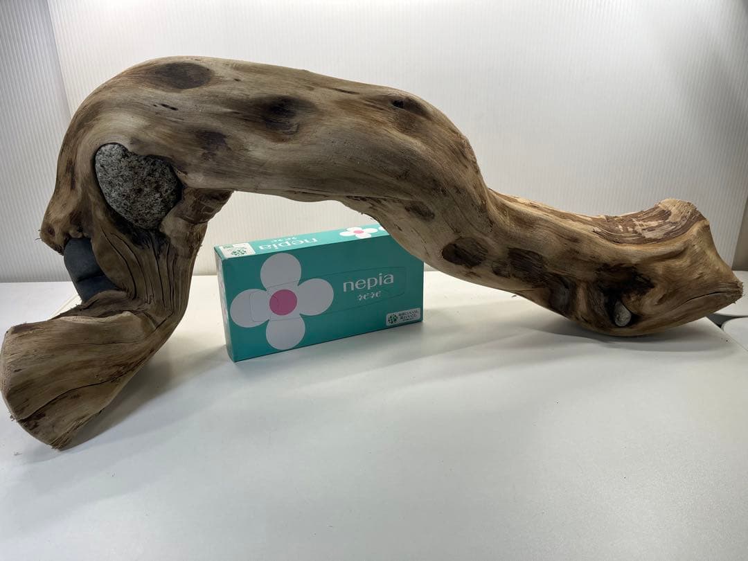 m24特大流木 アク抜き済み 爬虫類シェルター 登り木 レイアウト用 インテリア