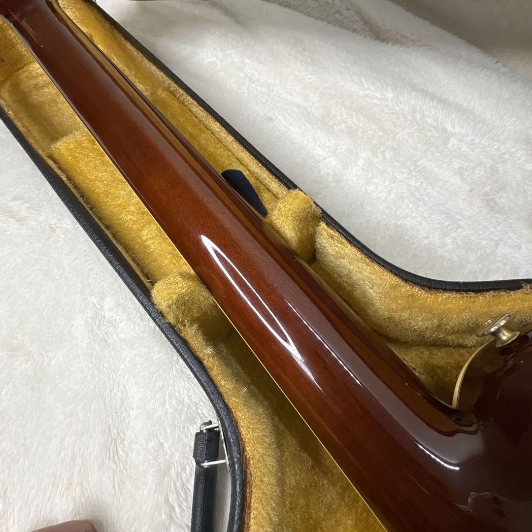 【訳アリ】　アリアプロ2 PE-MID-1