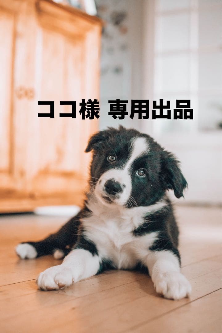 【ココ】アイカツスターズ 星のツバサ ルーレット 四ツ星セット