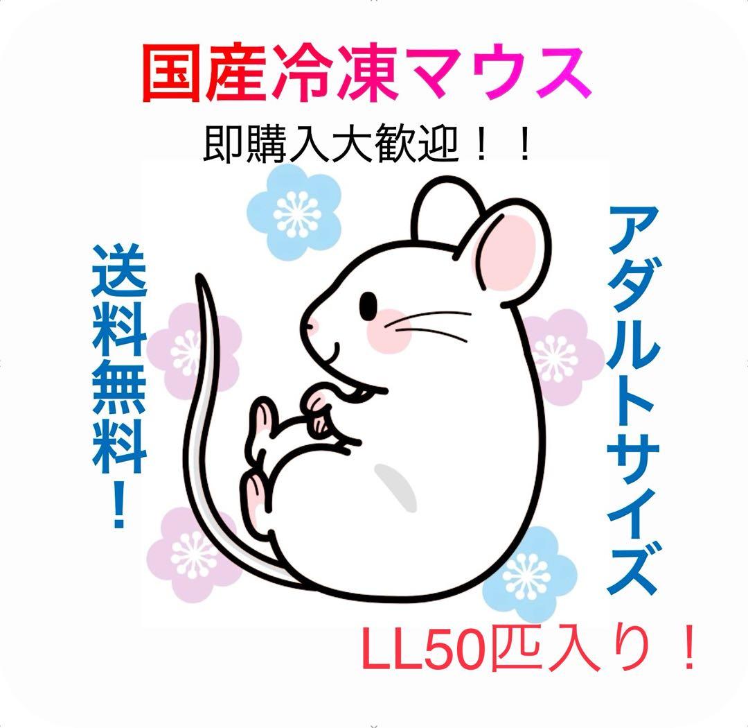 【即購入OK！】国産冷凍マウスアダルトLL50匹入@地域限定