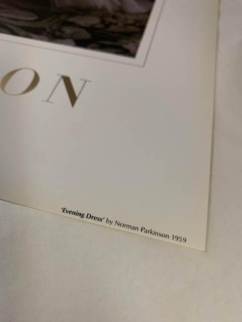 額装品/Evening Dress/ノーマン パーキンソン/アート/ポスター