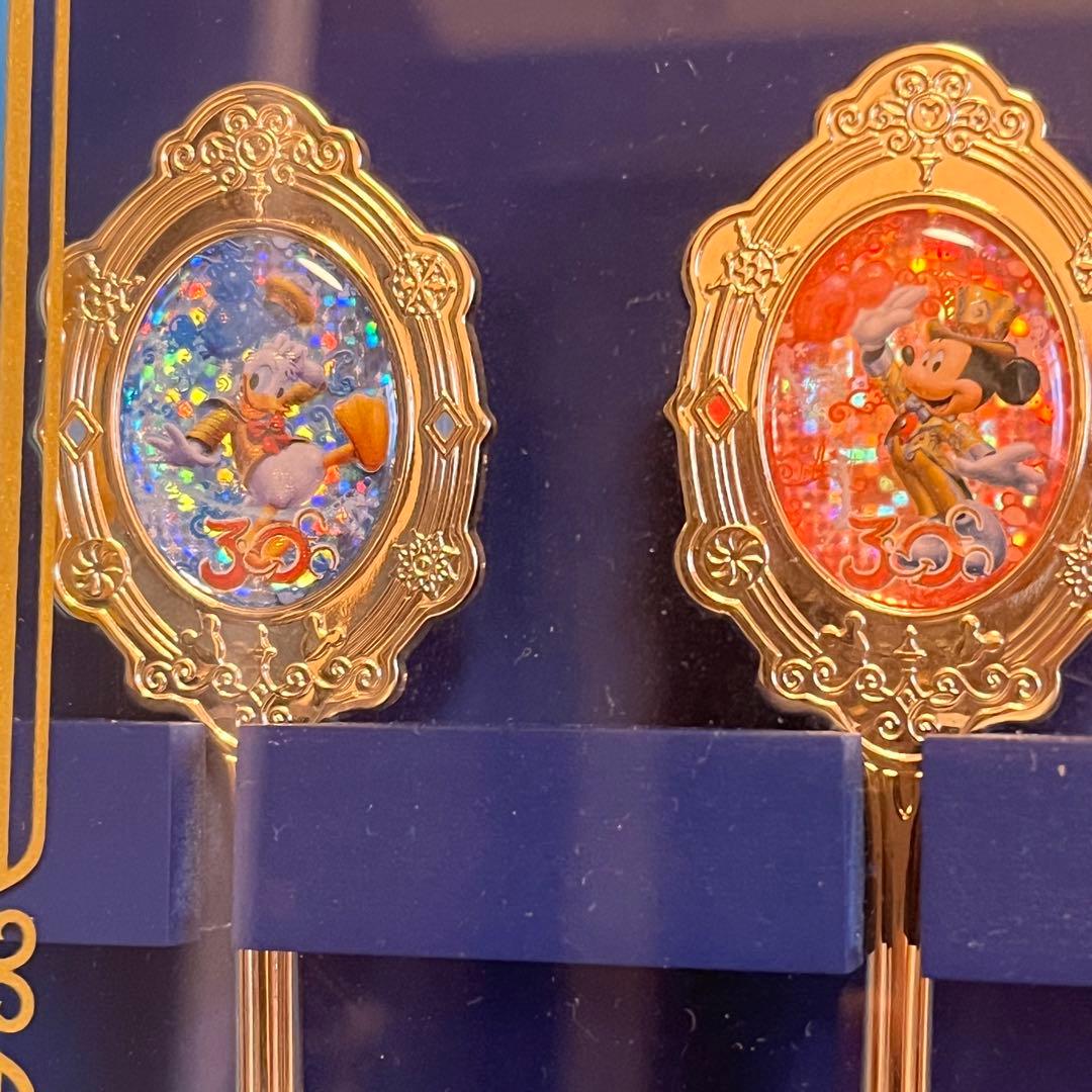 【ディズニーランド30周年スーベニアスプーン】 ケース付き　東京　TDL TDR