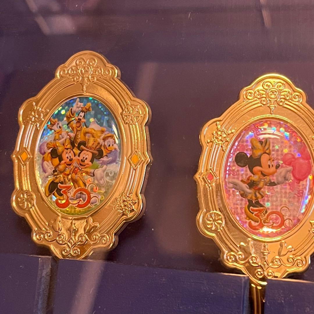 【ディズニーランド30周年スーベニアスプーン】 ケース付き　東京　TDL TDR