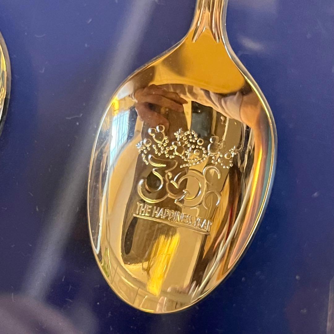 【ディズニーランド30周年スーベニアスプーン】 ケース付き　東京　TDL TDR