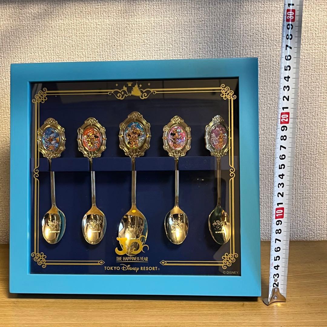 【ディズニーランド30周年スーベニアスプーン】 ケース付き　東京　TDL TDR