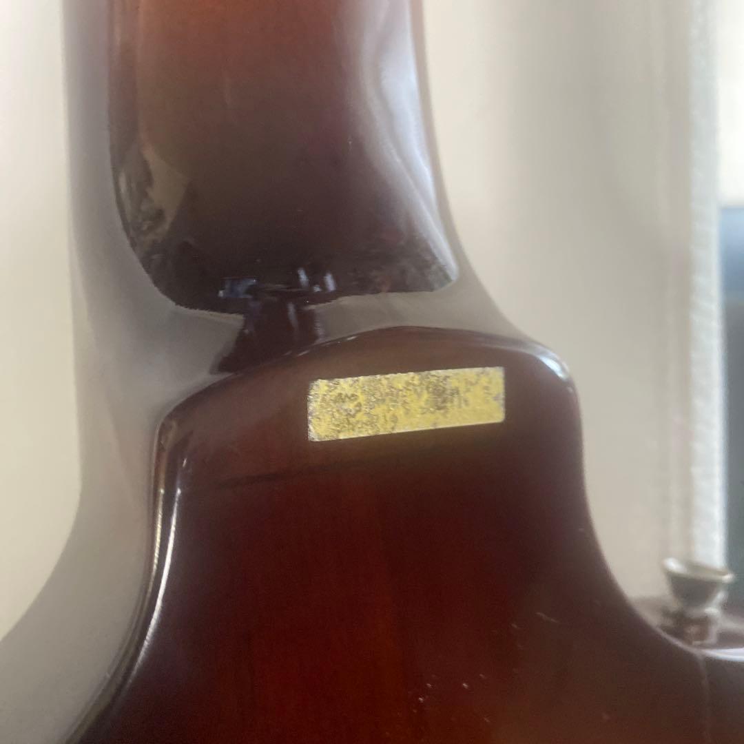 ギター Meriken by Samick