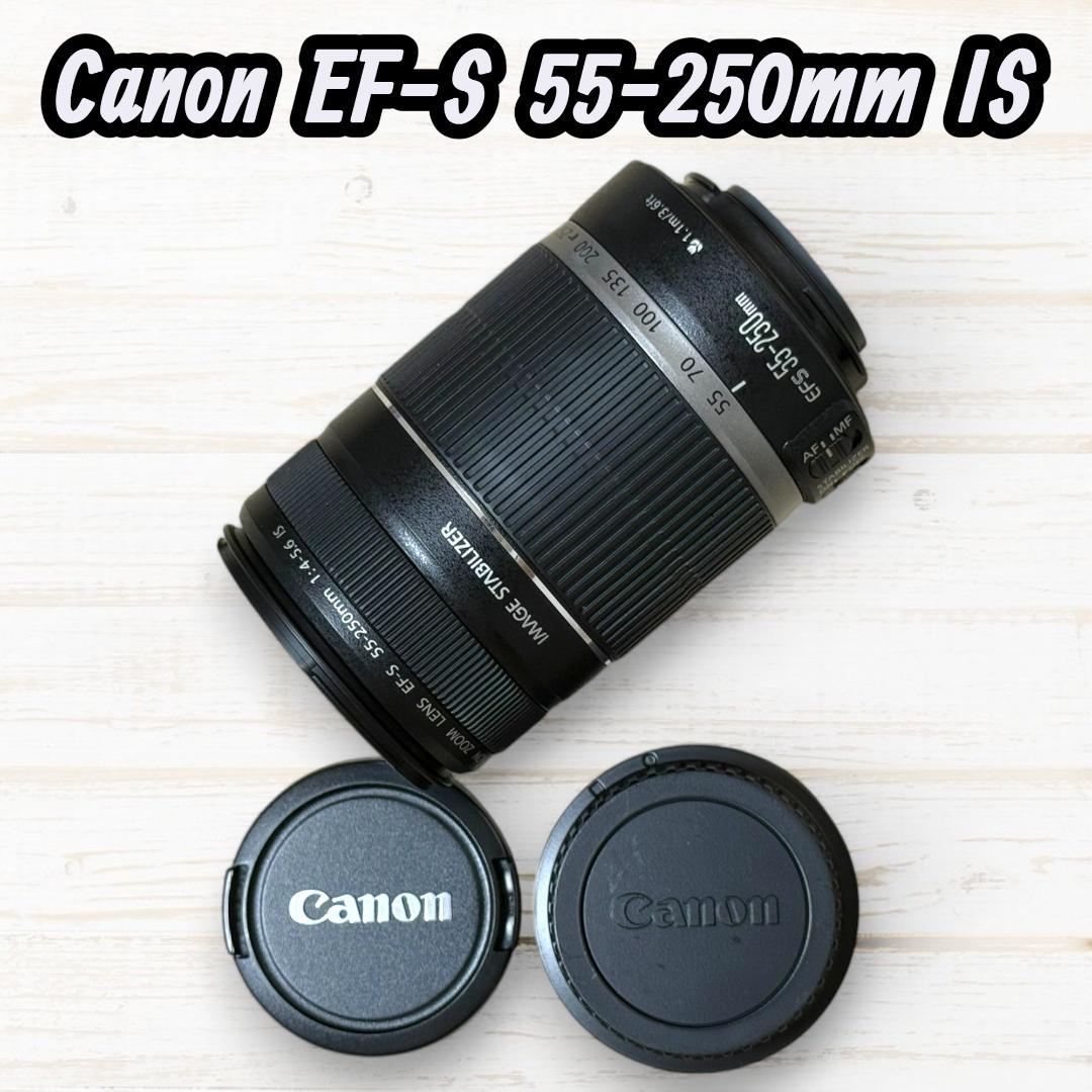 Canon ズームレンズ EF-S 55-250mm IS #171