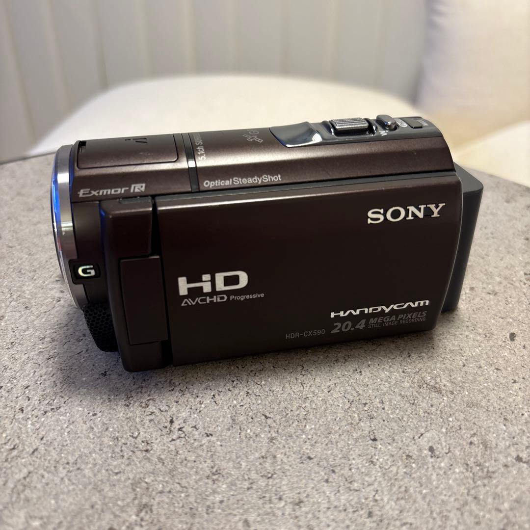 SONY HDR-CX390E ビデオカメラ 本体