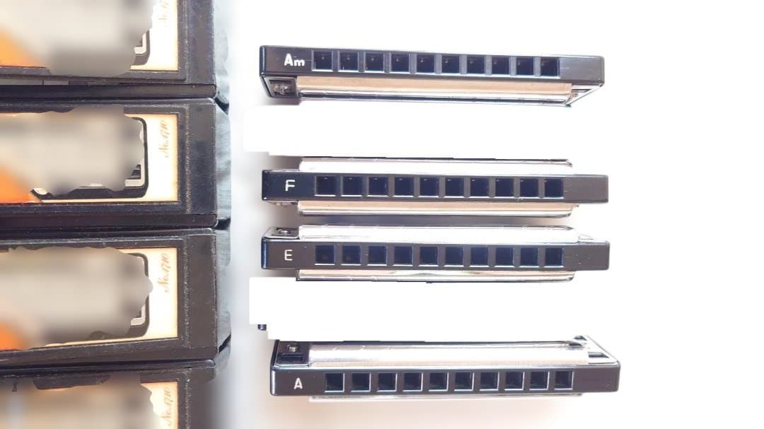 TOMBO　MAJOR BOY 10穴ハーモニカ　6本