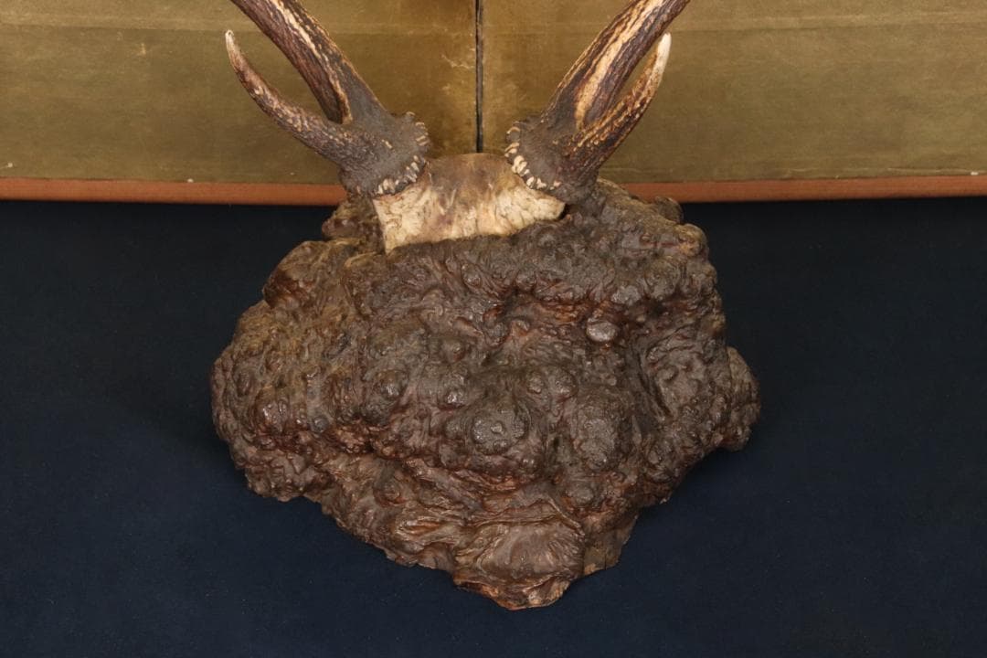 KS　刀掛け　鹿角 刀掛台 天然瘤木台座 　幅約45㎝ 高さ約60㎝