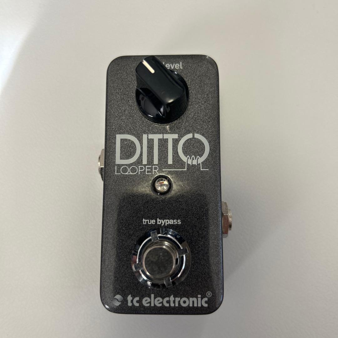 ギター tc electronic ditto looper