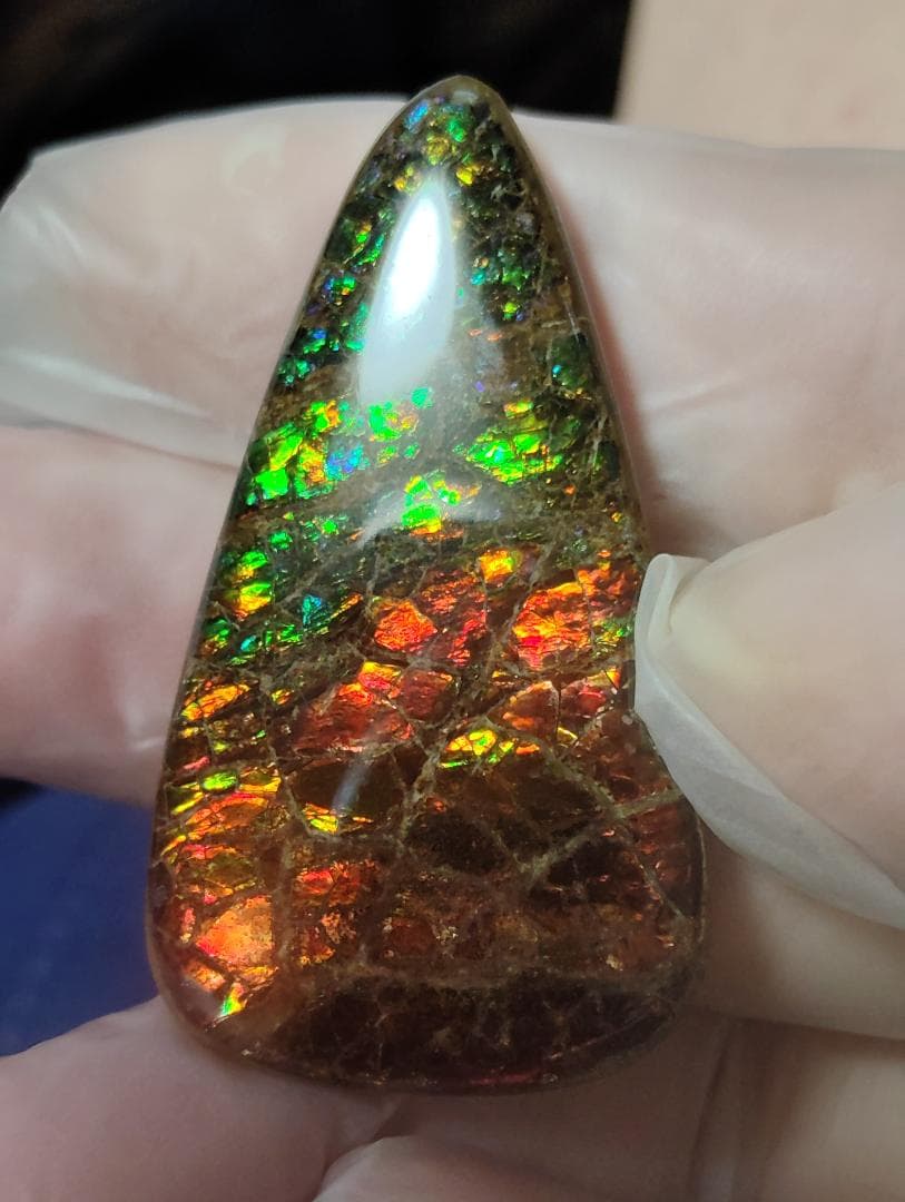 アンモライト・ルース　24-1411 45000