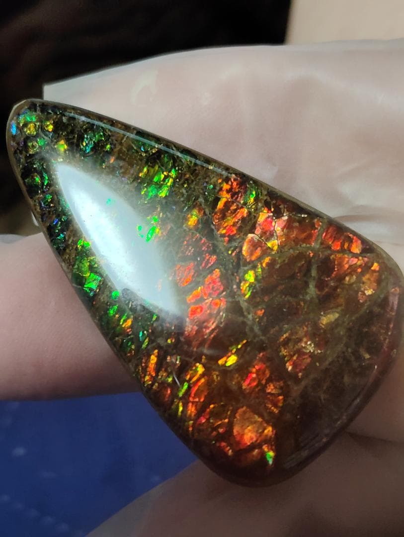 アンモライト・ルース　24-1411 45000