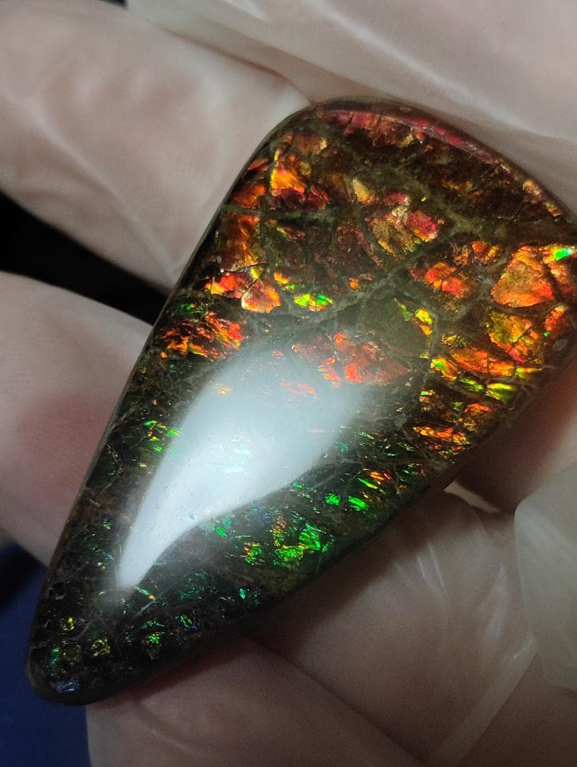 アンモライト・ルース　24-1411 45000