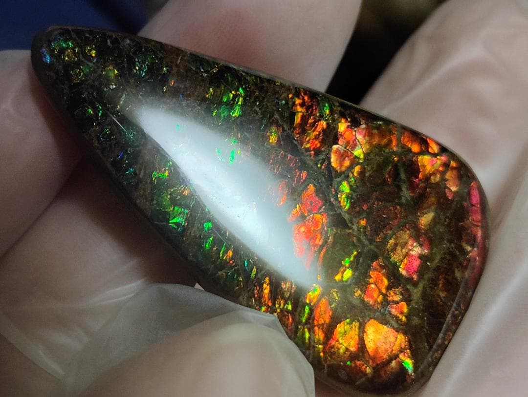 アンモライト・ルース　24-1411 45000