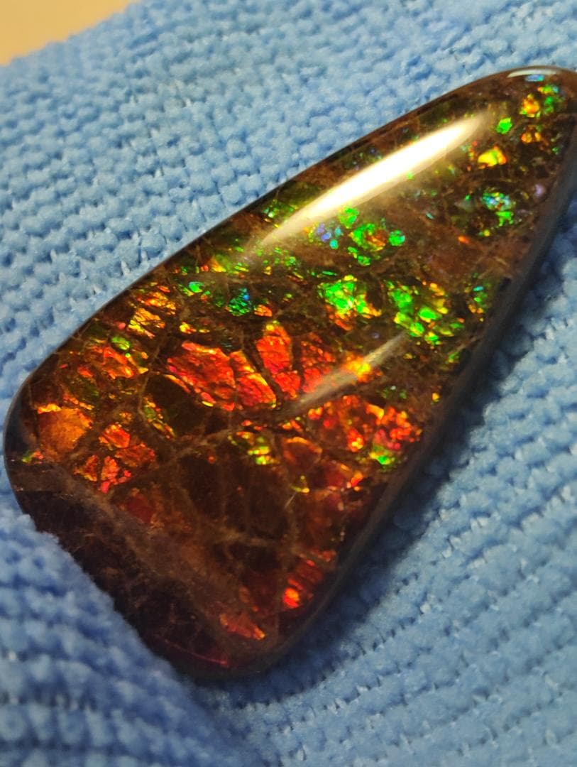 アンモライト・ルース　24-1411 45000