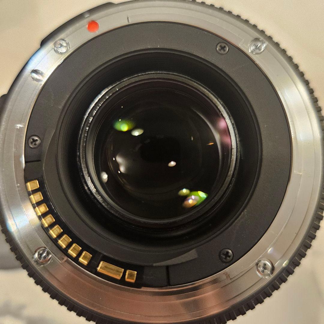 Sigma17-50mm F2.8 キャノン用 APS-C専用レンズ