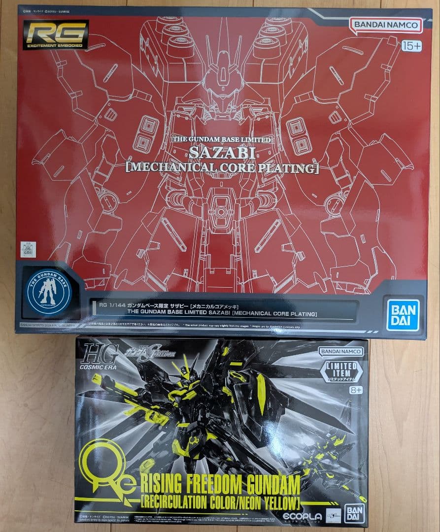 【おまけ付】RG サザビー HG ライジングフリーガンダム