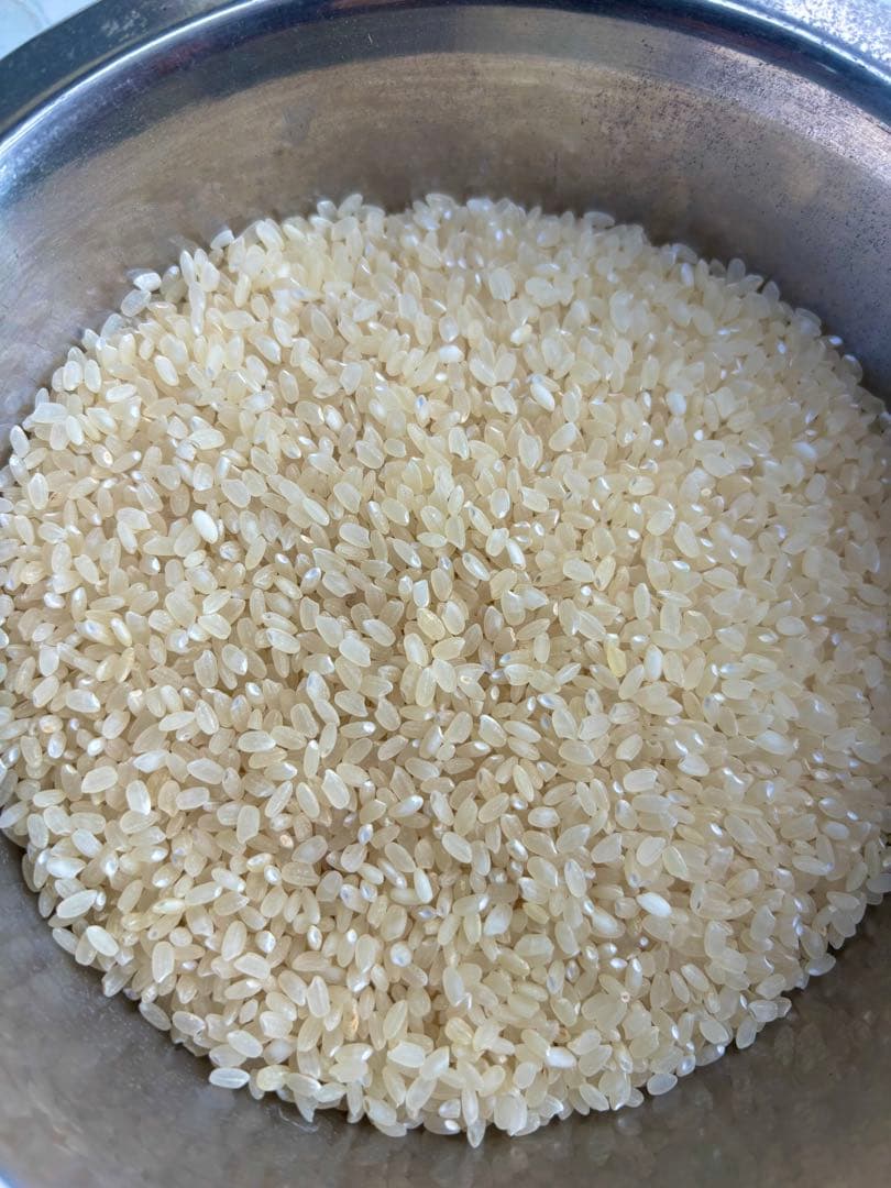 古古米　飼料用　24キロ　精米済　(きぬむすめ)